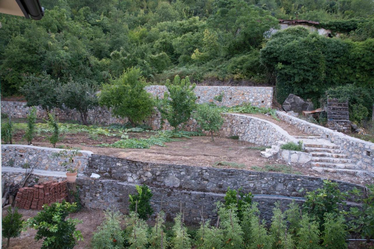 Village House Dunja فيربازار المظهر الخارجي الصورة