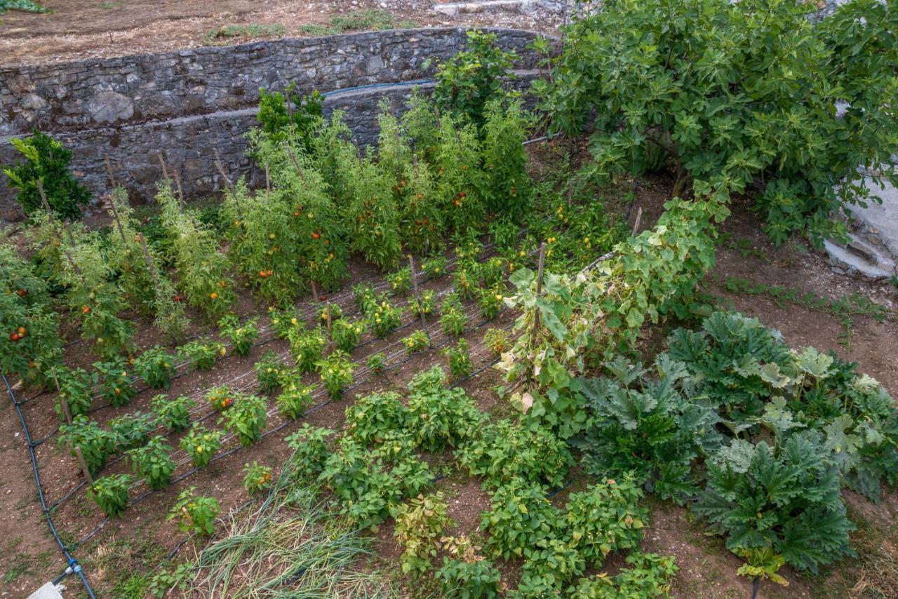 Village House Dunja فيربازار المظهر الخارجي الصورة