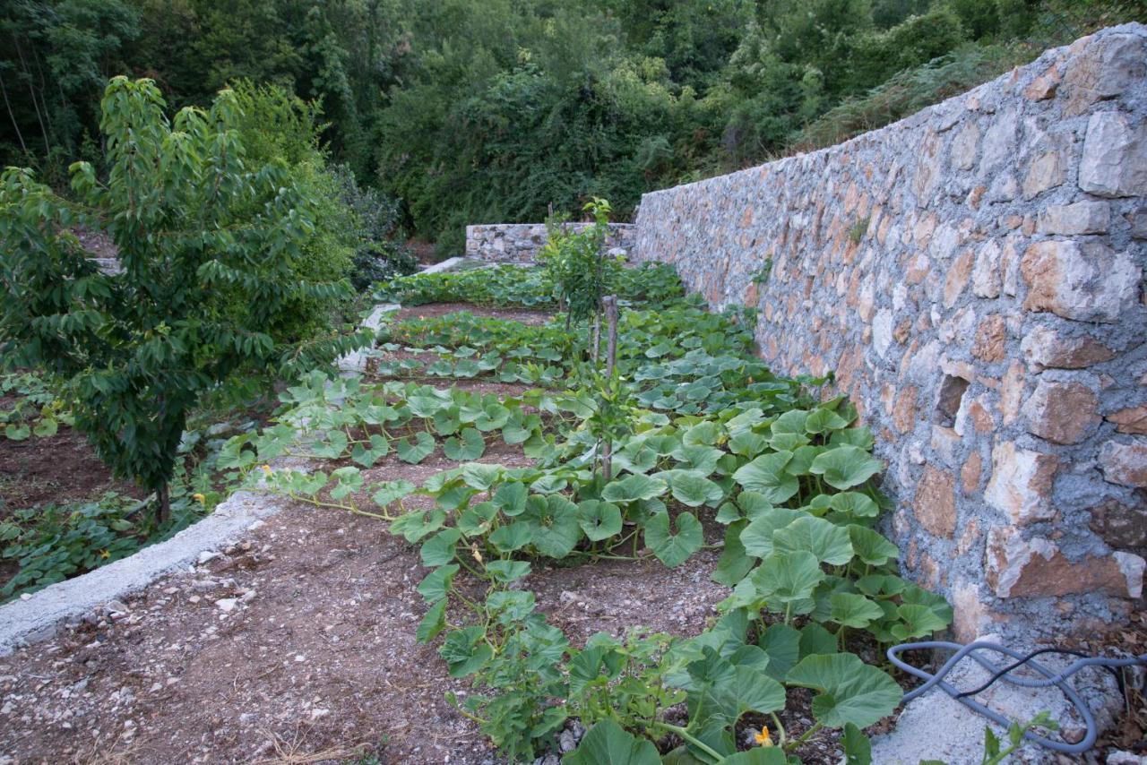 Village House Dunja فيربازار المظهر الخارجي الصورة