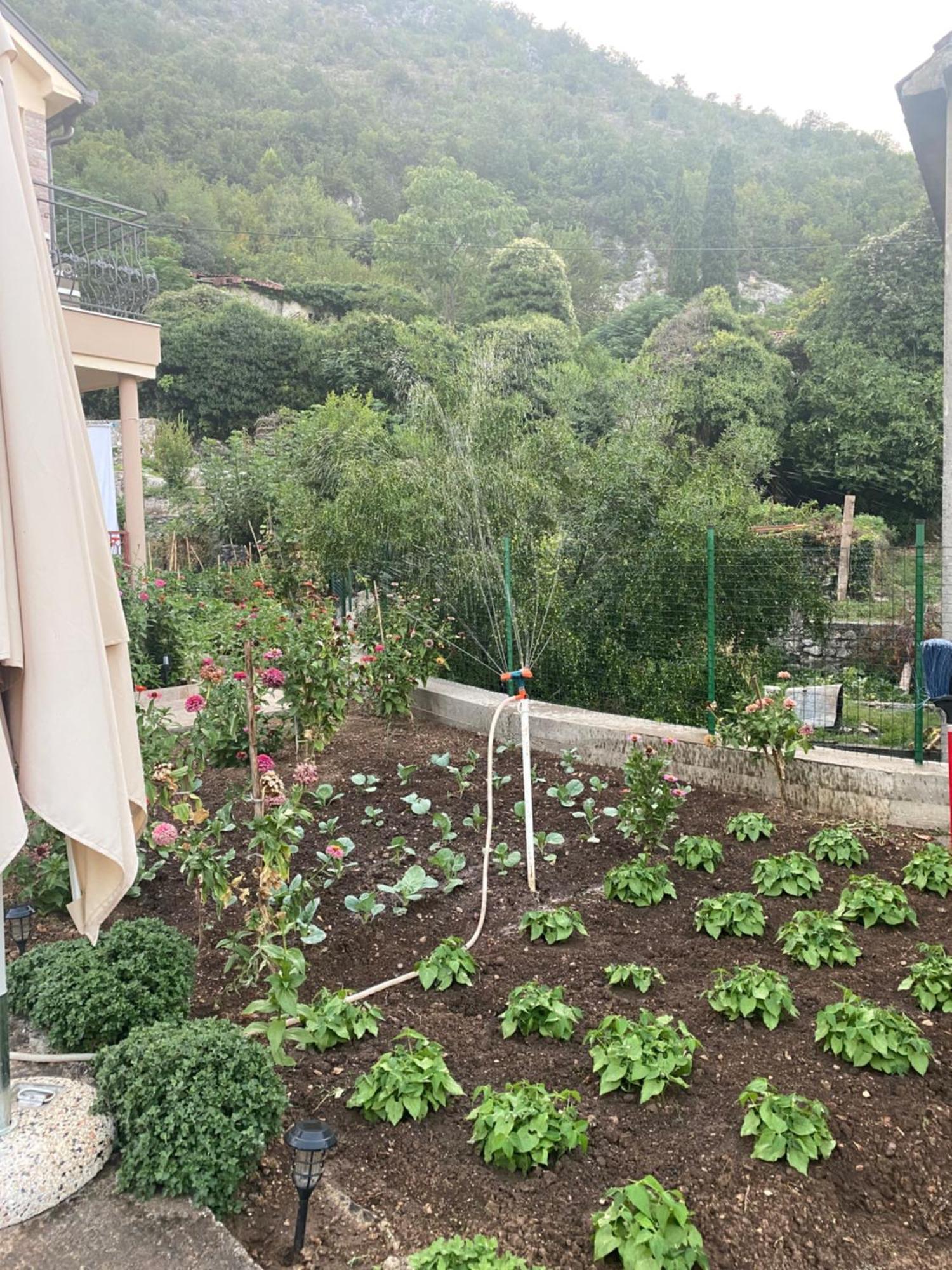 Village House Dunja فيربازار المظهر الخارجي الصورة
